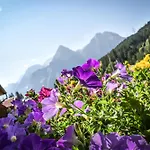 فندق Laerchenhof